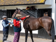 NH051025-47 - Thewoodcorner